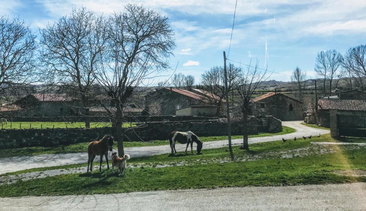 La Casita / Casa De Campo Santa Gadea  Екстериор снимка